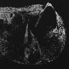 DEMON HEAD · Viscera | CLEAR ASH GREY LP (Hard Rock Vinyl) · Bild 1