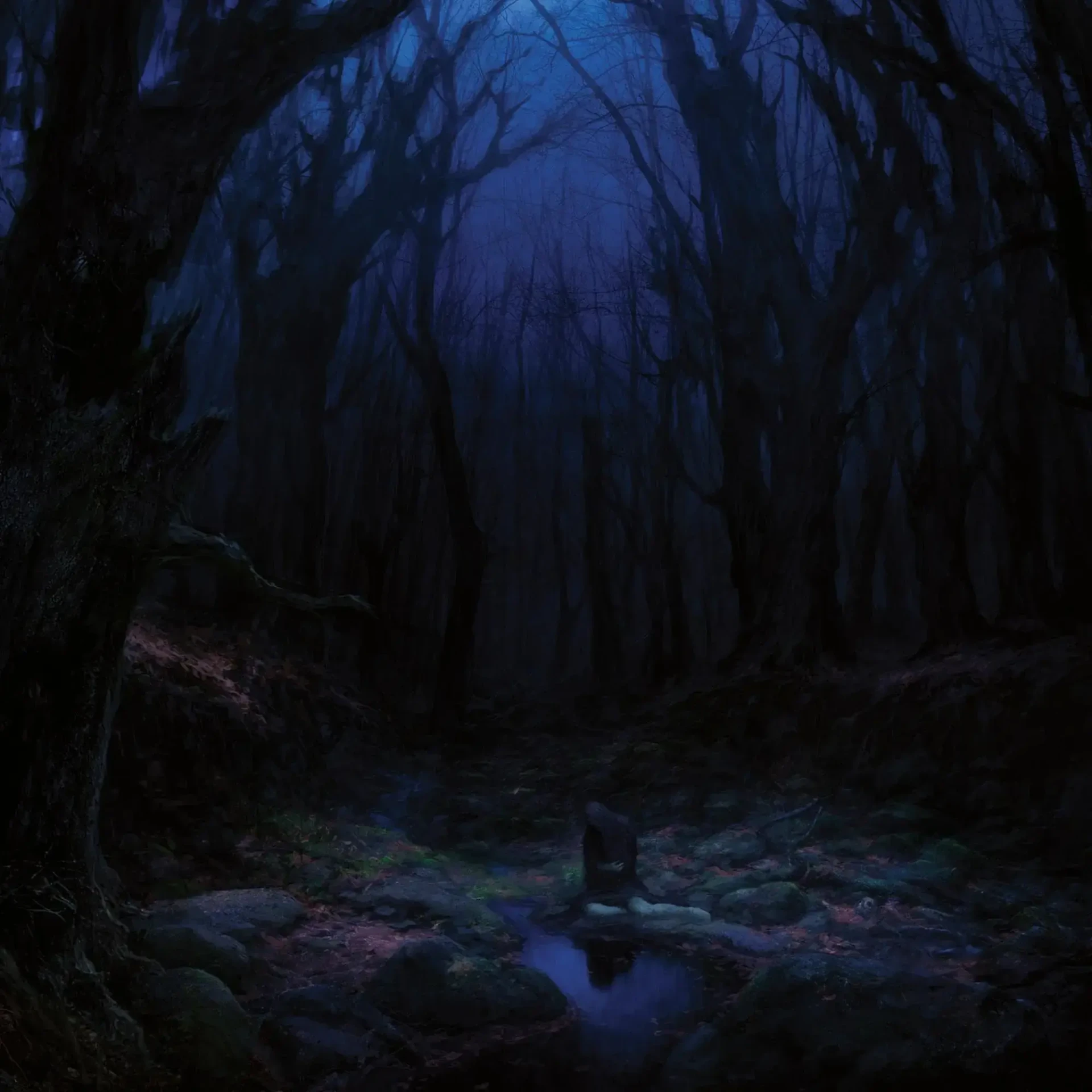 WOODS OF DESOLATION - Torn Beyond Reason · BLACK LP (Black Metal Vinyl) · Bild 1