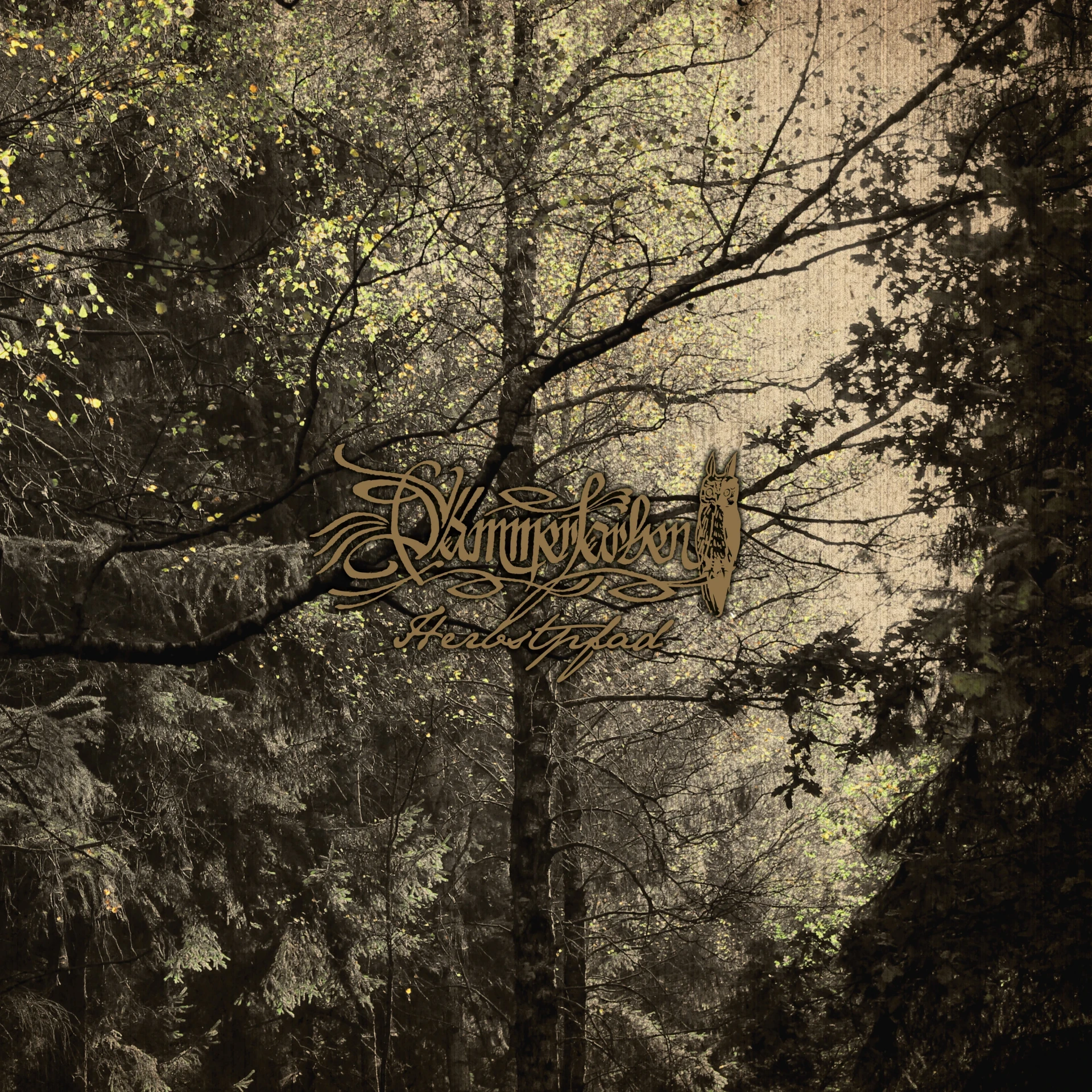 DÄMMERFARBEN · Herbstpfad | CLEAR LP (Black Metal Vinyl) · Bild 2