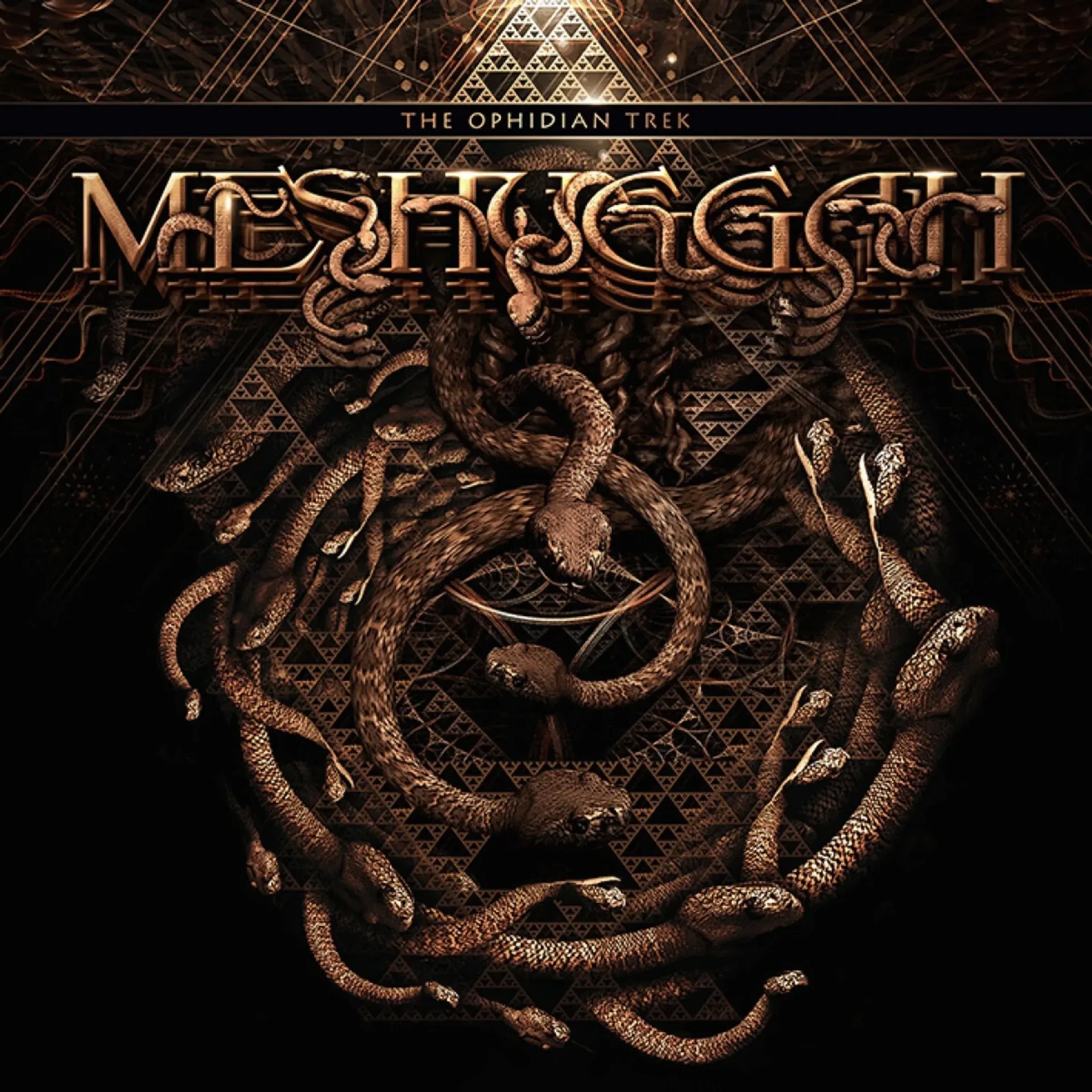 MESHUGGAH · The ophidian trek | GOLD 2LP (Progressive Metal Vinyl) · Bild 1