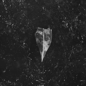 BEES MADE HONEY IN THE VEIN TREE · Aion | BLACK 2LP (Doom Metal/Stoner Rock Vinyl) · Bild 1