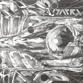 AUTARKH · Form in Motion | RED 2LP (Black Metal Vinyl) · Bild 1