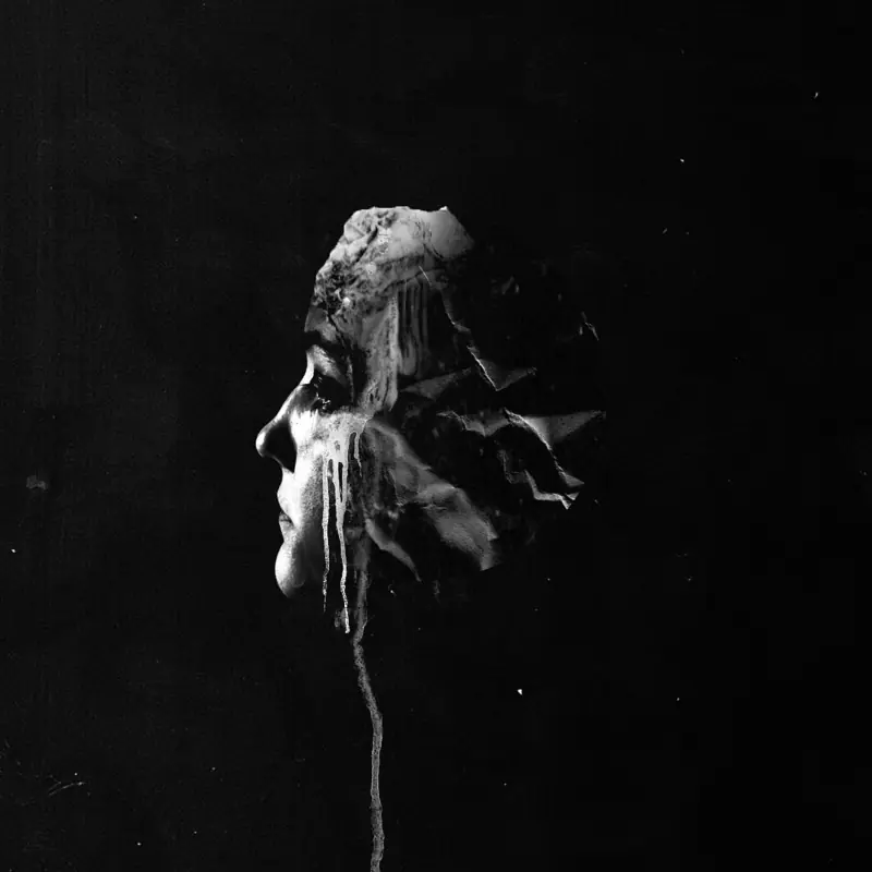 FVNERALS · The Light | BLACK LP (Doom Metal Vinyl) · Bild 1