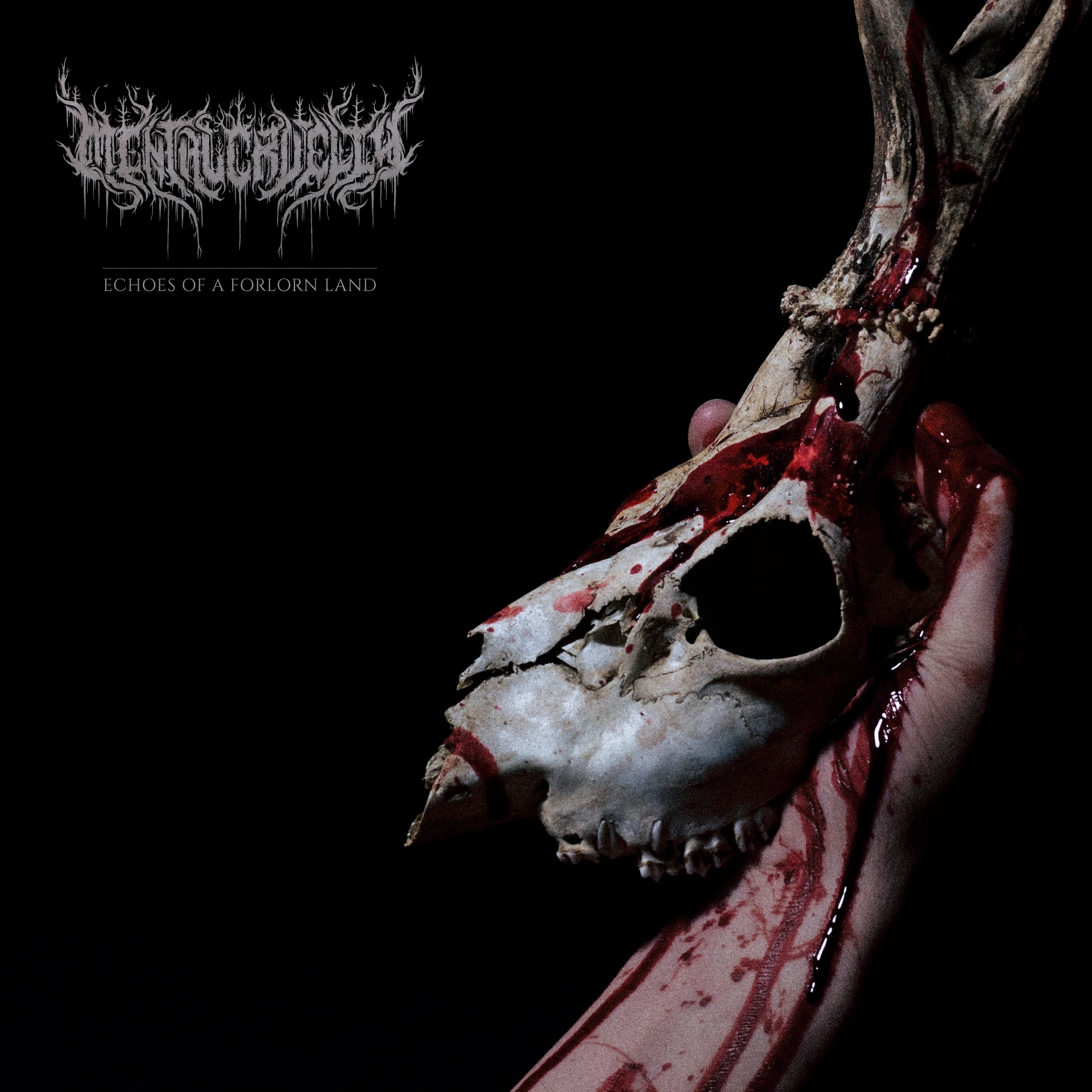 MENTAL CRUELTY - Echoes of a Forlorn Land [DIGIPAK CD] (Death Metal CDs)