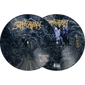 SUFFOCATION · Pierced From Within | PICTURE DISC LP (Death Metal Vinyl) · Bild 2