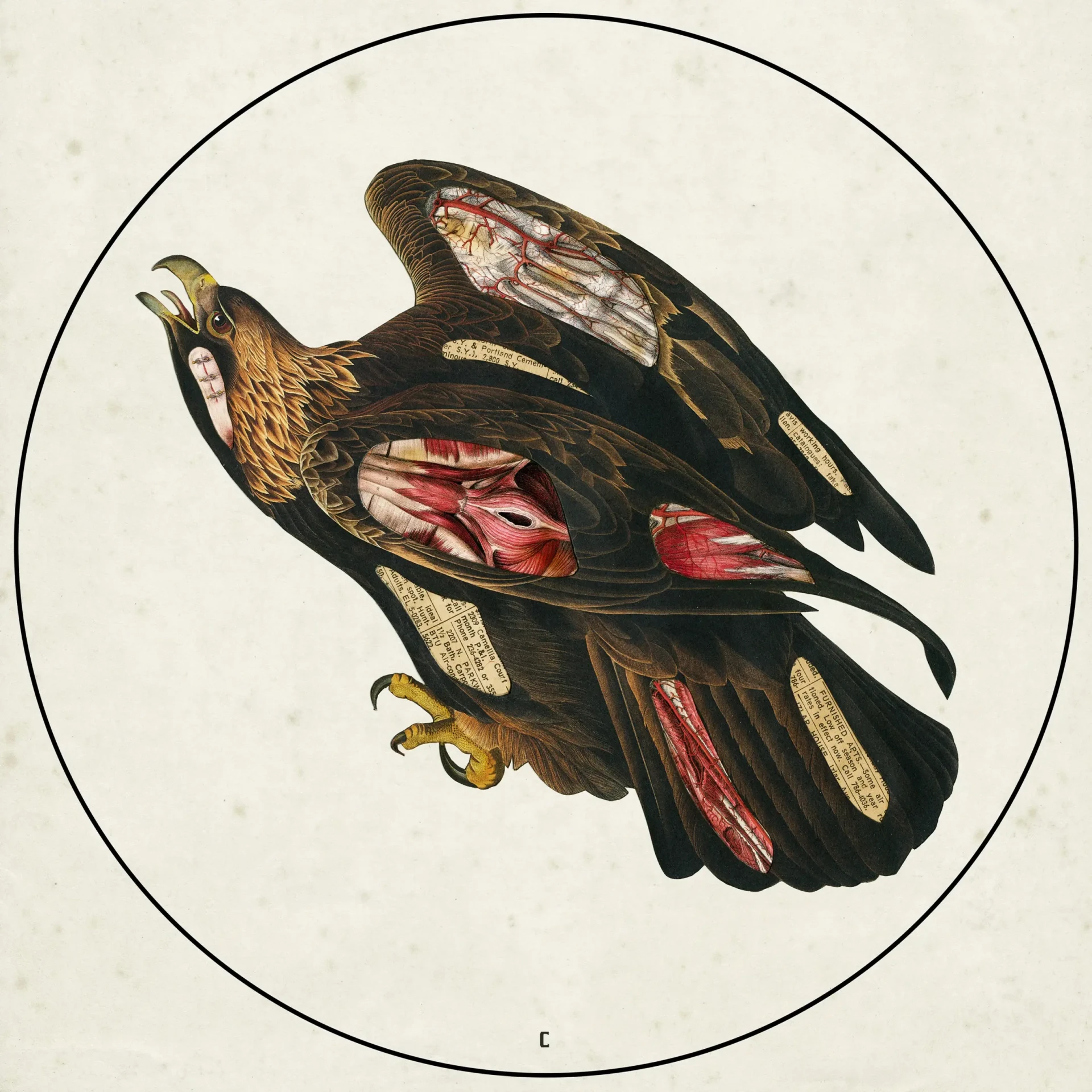 CLUTCH - Book Of Bad Decisions · PICTURE DLP (Stoner Rock Vinyl) · Bild 1