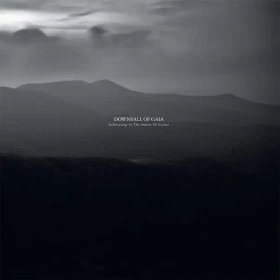 DOWNFALL OF GAIA · Suffocating In The Swarm Of Cranes | CLEAR/BLACK DLP (Post Metal Vinyl) · Bild 1