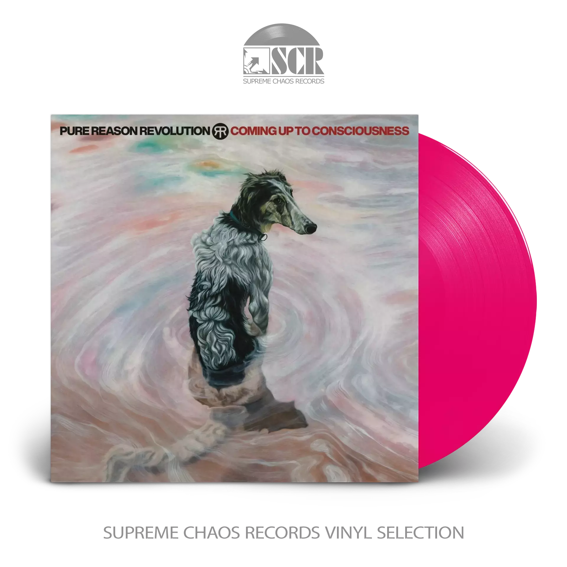 PURE REASON REVOLUTION · Coming Up To Consciousness | TRANSPARENT NEON PINK BIO LP (Progressive Rock Vinyl)