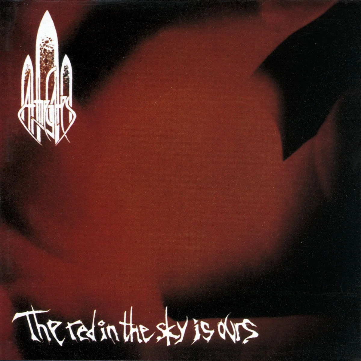 AT THE GATES · The Red In The Sky Is Ours | CLEAR LP (Melodic Death Metal Vinyl) · Bild 1