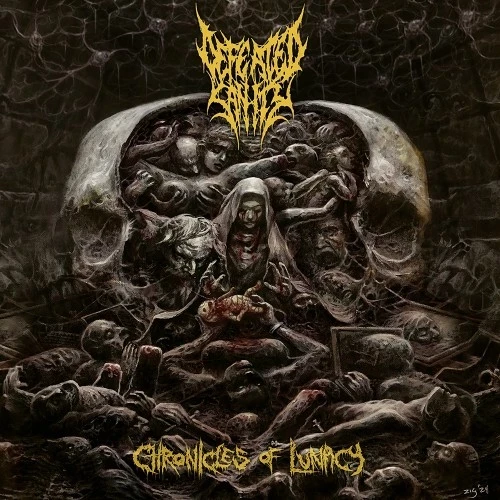 DEFEATED SANITY · Chronicles of Lunacy | BLACK LP (Death Metal/Grindcore Vinyl) · Bild 1