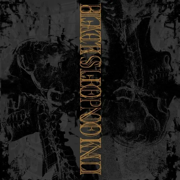 BLACK SLEEP OF KALI / UNION OF SLEEP · Split | BLACK LP (Sludge Vinyl) · Bild 1