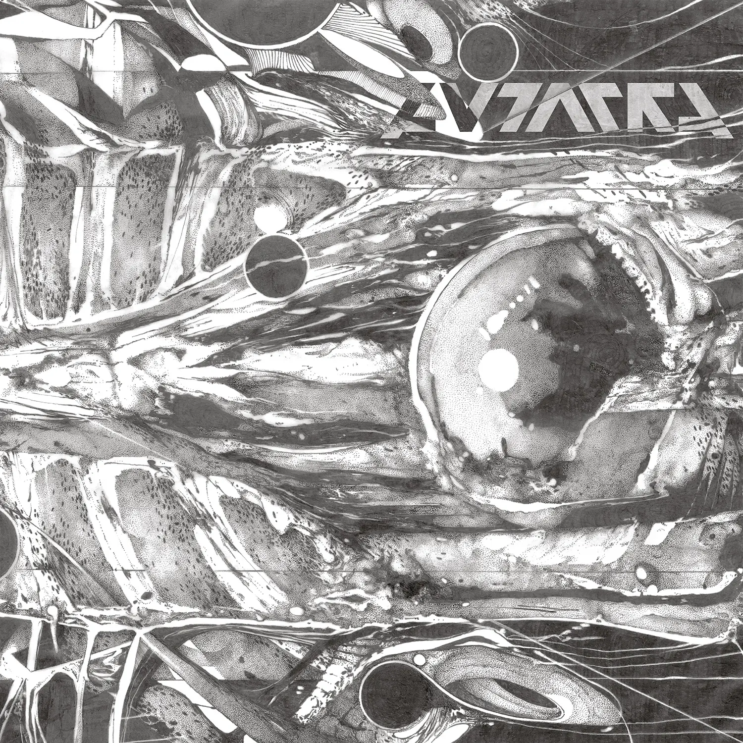 AUTARKH · Form in Motion [BLACK] | DLP (Black Metal Vinyl) · Bild 1