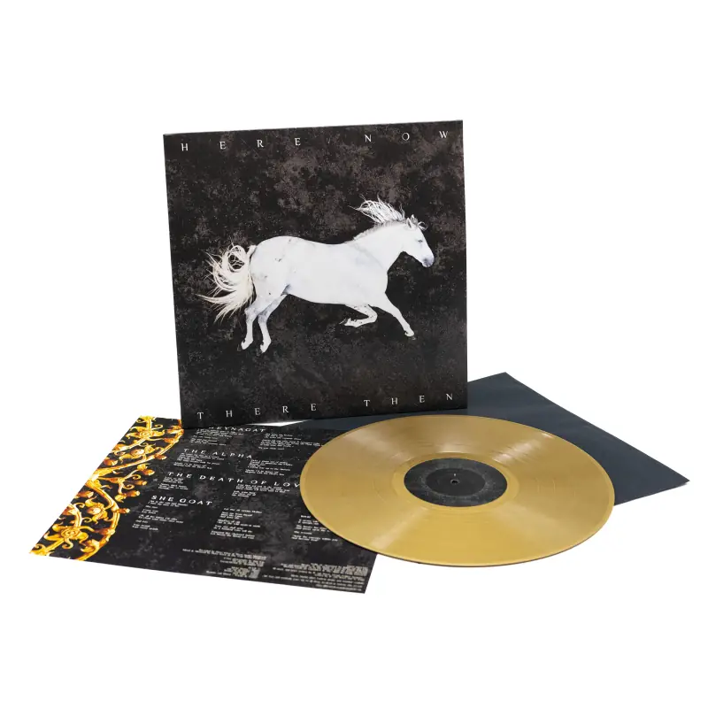 DOOL · Here Now, There Then | GOLD LP (Dark Rock/Gothic Rock Vinyl) · Bild 2