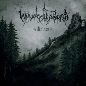 WALDGEFLÜSTER · Ruinen | MULTI-COLORED 2LP (Black Metal Vinyl) · Bild 1