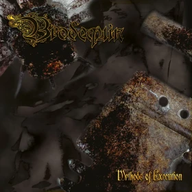 BRODEQUIN · Methods Of Execution | SILVER LP (Brutal Death Metal Vinyl) · Bild 1