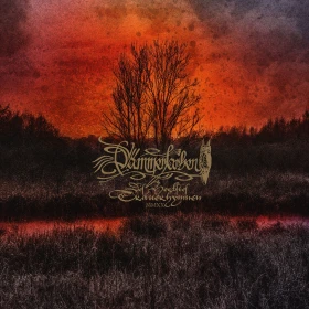 DÄMMERFARBEN · Des Herbstes Trauerhymnen MMXX | TRANSPARENT RED 2LP (Black Metal Vinyl) · Bild 2