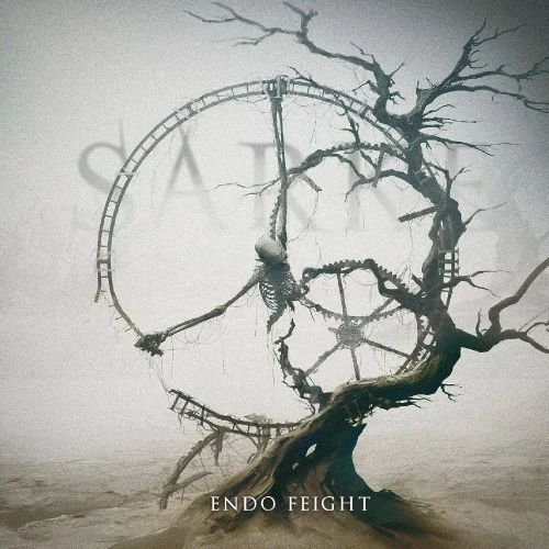 SARKE · Endo Feight | CLEAR LP (Black Metal Vinyl) · Bild 1