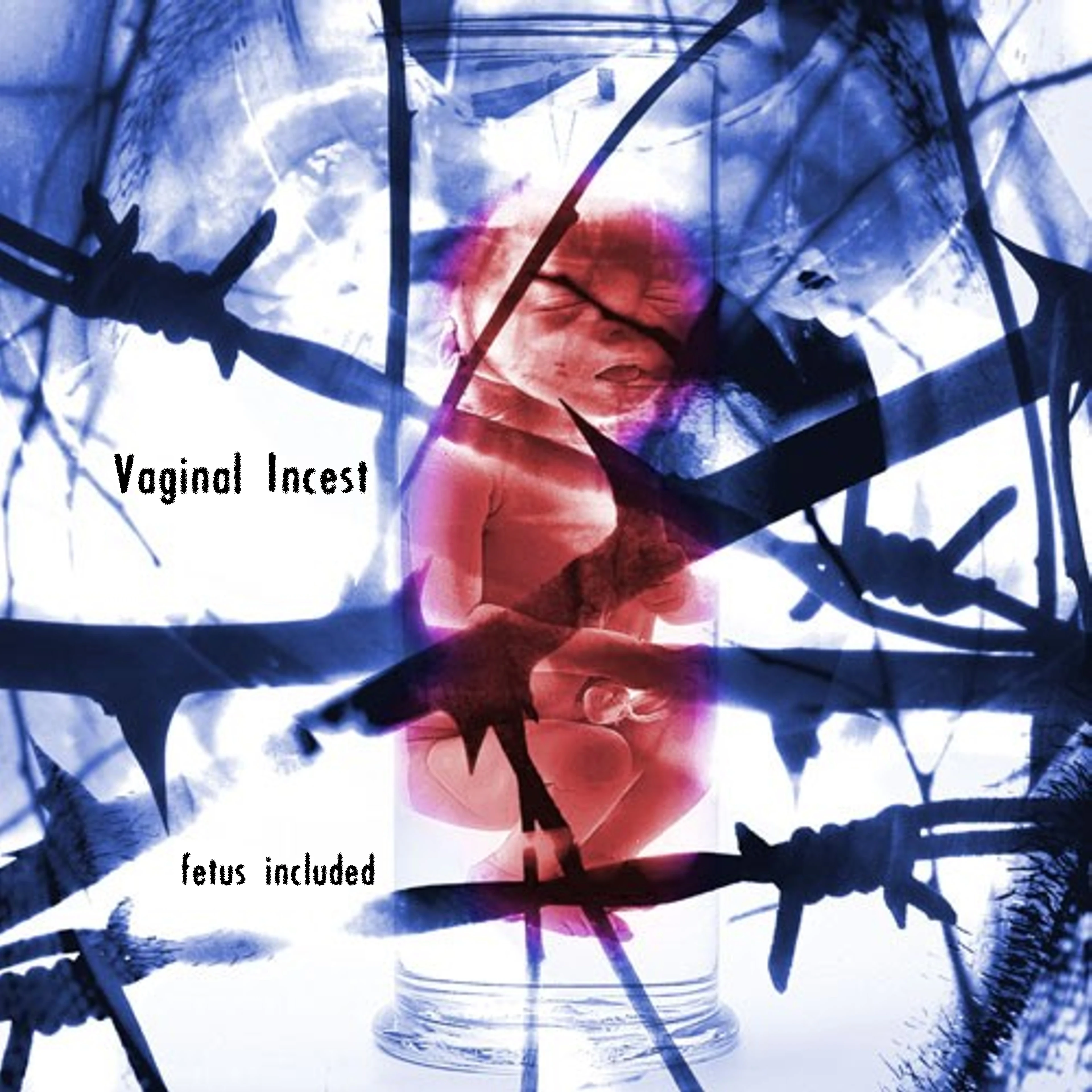 INHUMATE / VAGINAL INCEST · Split | BLACK 7" EP (Grindcore Vinyl) · Bild 1