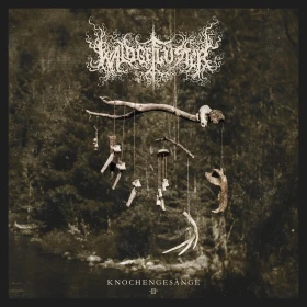 WALDGEFLÜSTER · Knochengesänge II | BLACK 2LP (Black Metal Vinyl) · Bild 1