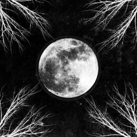 CORPUS CHRISTII · Palemoon [BLACK] | LP (Black Metal Vinyl) · Bild 1