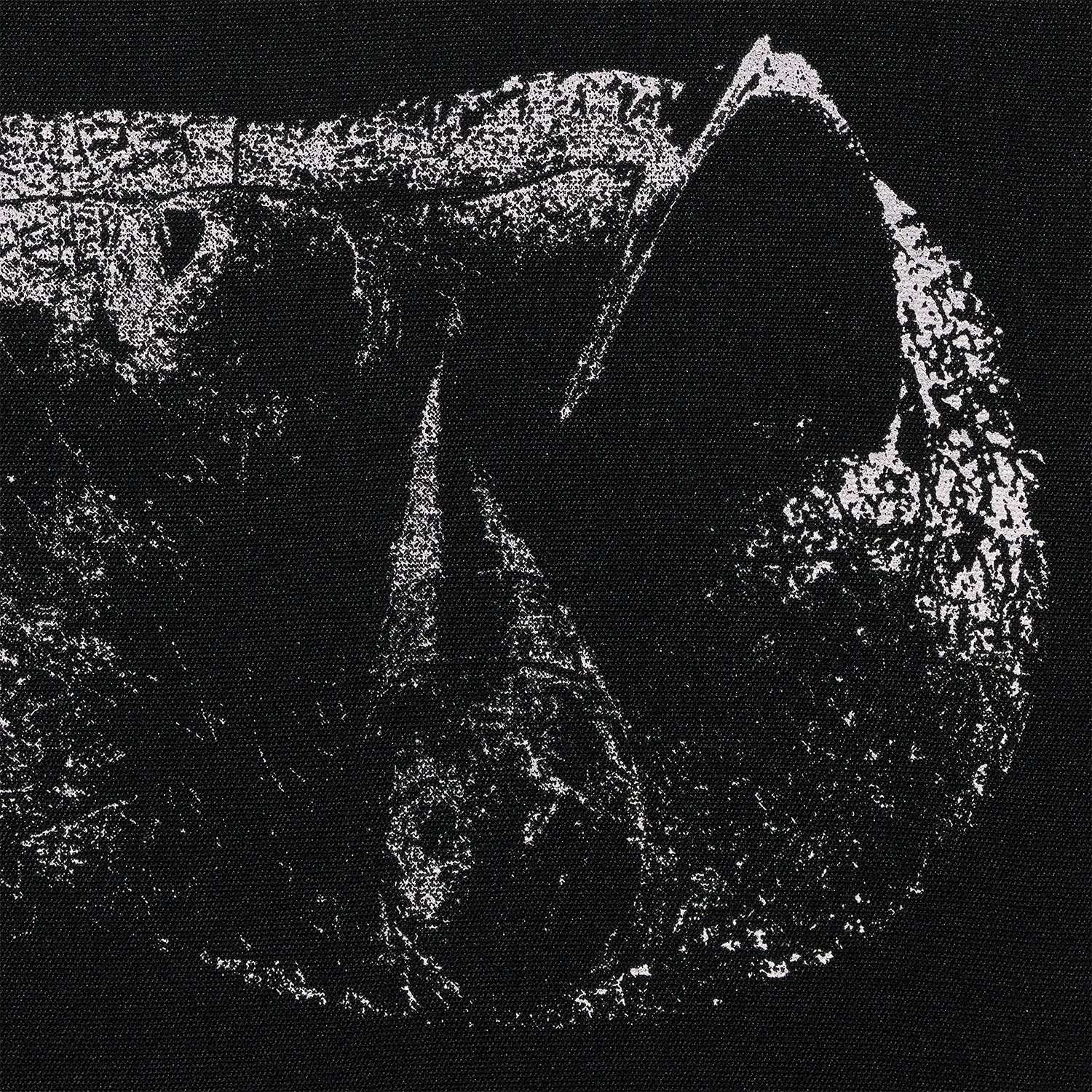 DEMON HEAD · Viscera | CLEAR ASH GREY LP (Hard Rock Vinyl) · Bild 1