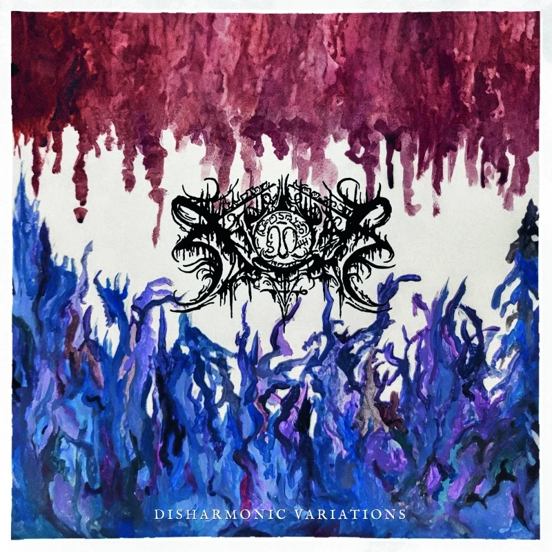 XASTHUR · Disharmonic Variations | BLACK LP (Acid/Folk/Ambient Vinyl) · Bild 1