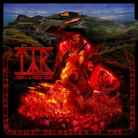 TYR · A Night At The Nordic House | BLUE MARBLED 2LP (Heavy Metal/Viking Metal Vinyl) · Bild 1