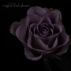 CRIPPLED BLACK PHOENIX · Painful Reminder / Dead Is Dead | BLACK 10" LP (Progressive Rock Vinyl) · Bild 1