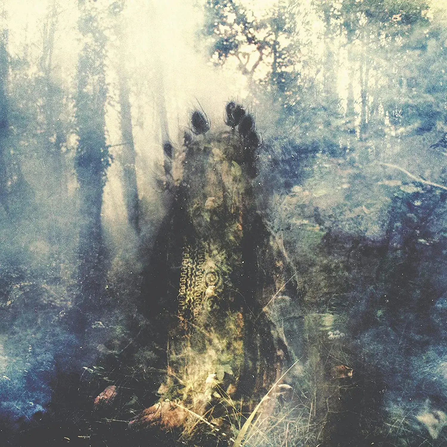 SYLVAINE · Wistful | DIGIPAK CD (Black Metal/Post Metal CDs)