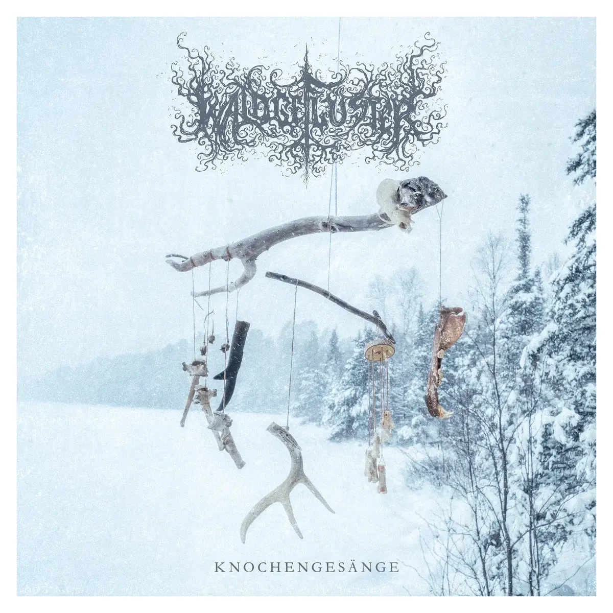 WALDGEFLÜSTER · Knochengesänge | DIGIPAK CD (Black Metal CDs)