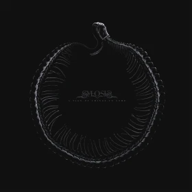 SYLOSIS · A Sign Of Things To Come | WHITE LP (Melodic Death Metal Vinyl) · Bild 1