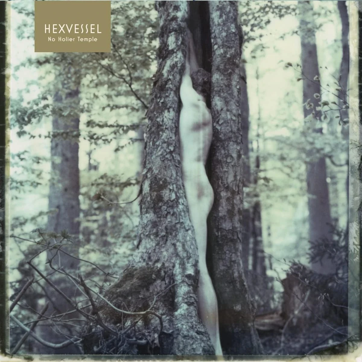 HEXVESSEL · No Holier Temple | YELLOW 2LP (Hard Rock Vinyl) · Bild 1