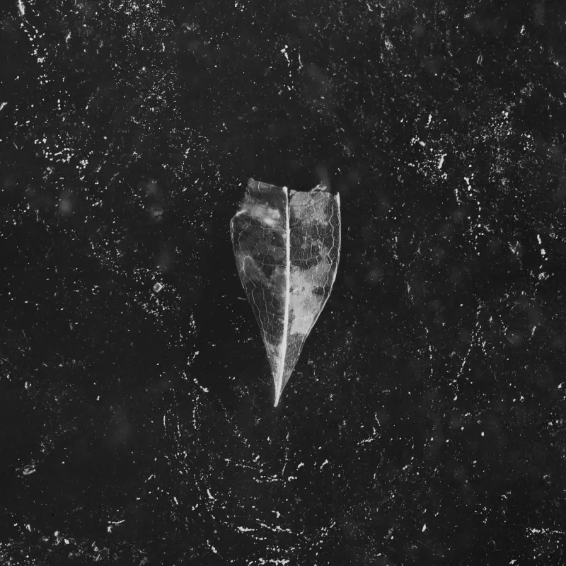 BEES MADE HONEY IN THE VEIN TREE · Aion | WHITE DOUBLE VINYL (Doom/Stoner Vinyl) · Bild 1