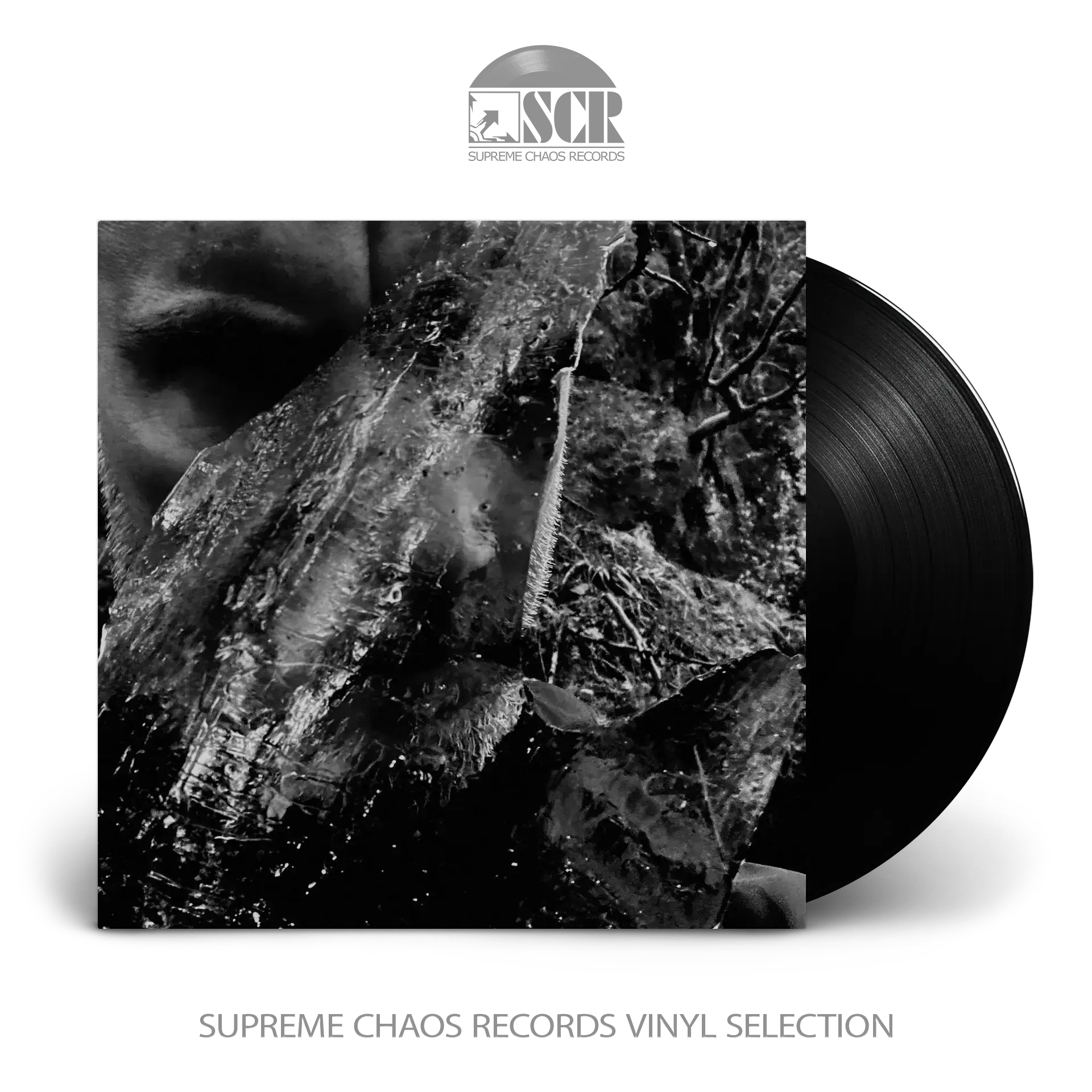 TAAKE · En Skog Av Nidstang | BLACK LP (Black Metal Vinyl)