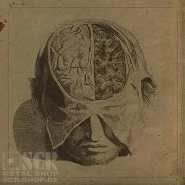 FARSOT - Insects
(CD)