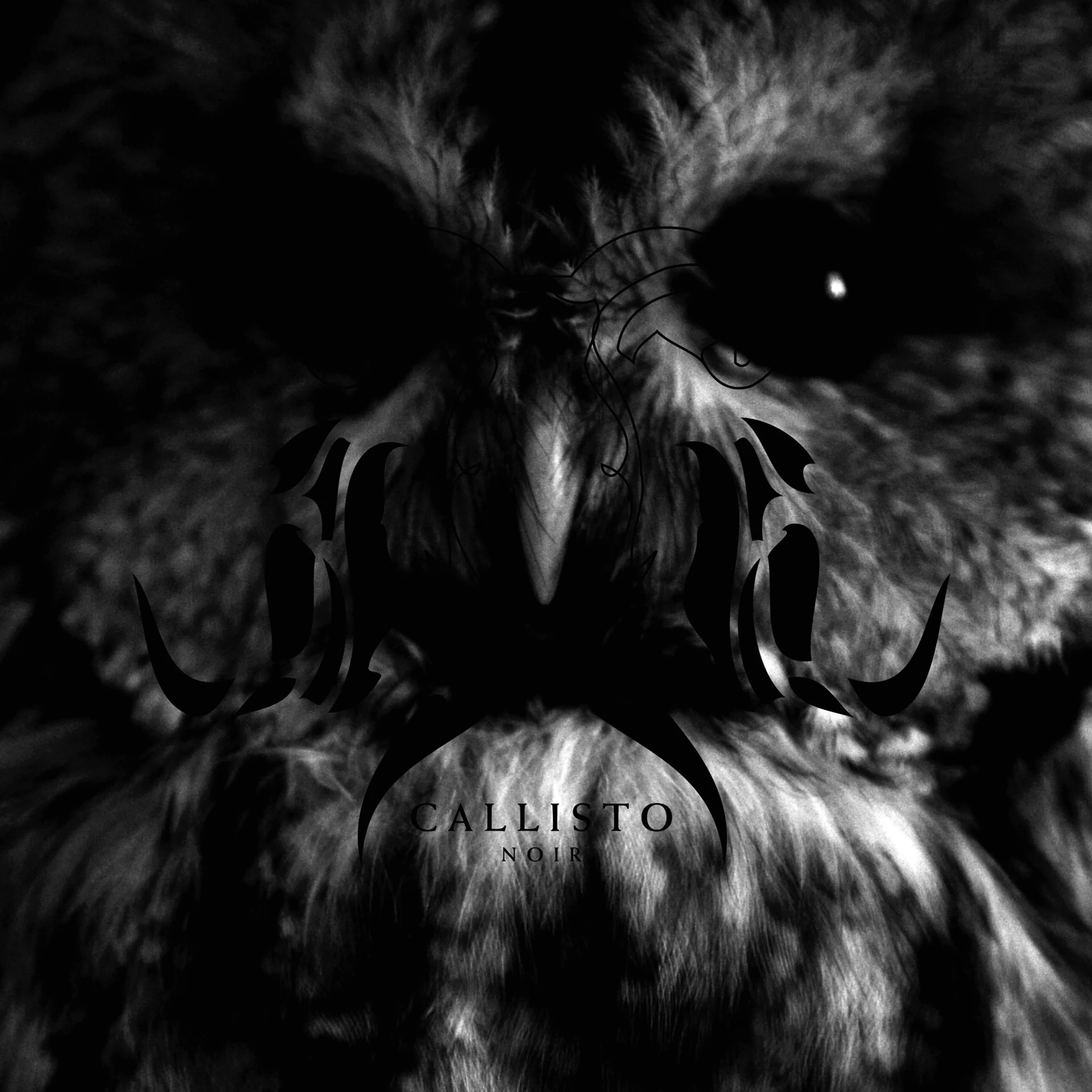 NOIR · Callisto | BLACK LP (Progressive Metal Vinyl) · Bild 1