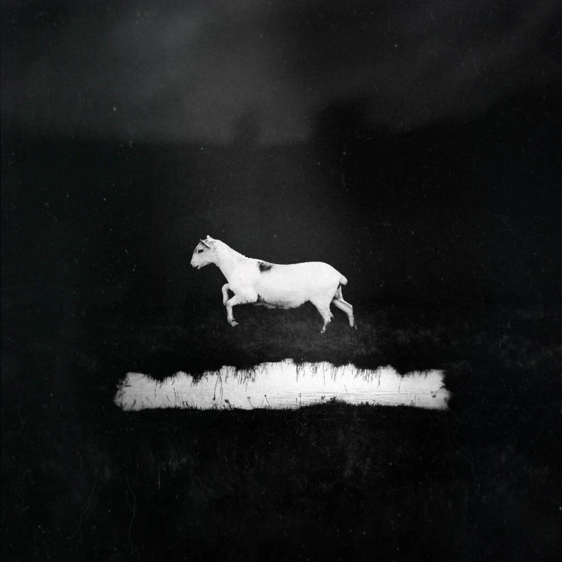 LES DISCRETS · Prédateurs | BLACK LP (Progressive Rock Vinyl) · Bild 1