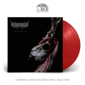 MENTAL CRUELTY - Echoes of a Forlorn Land [TRANSPERENT RED LP] (Death Metal Vinyl)