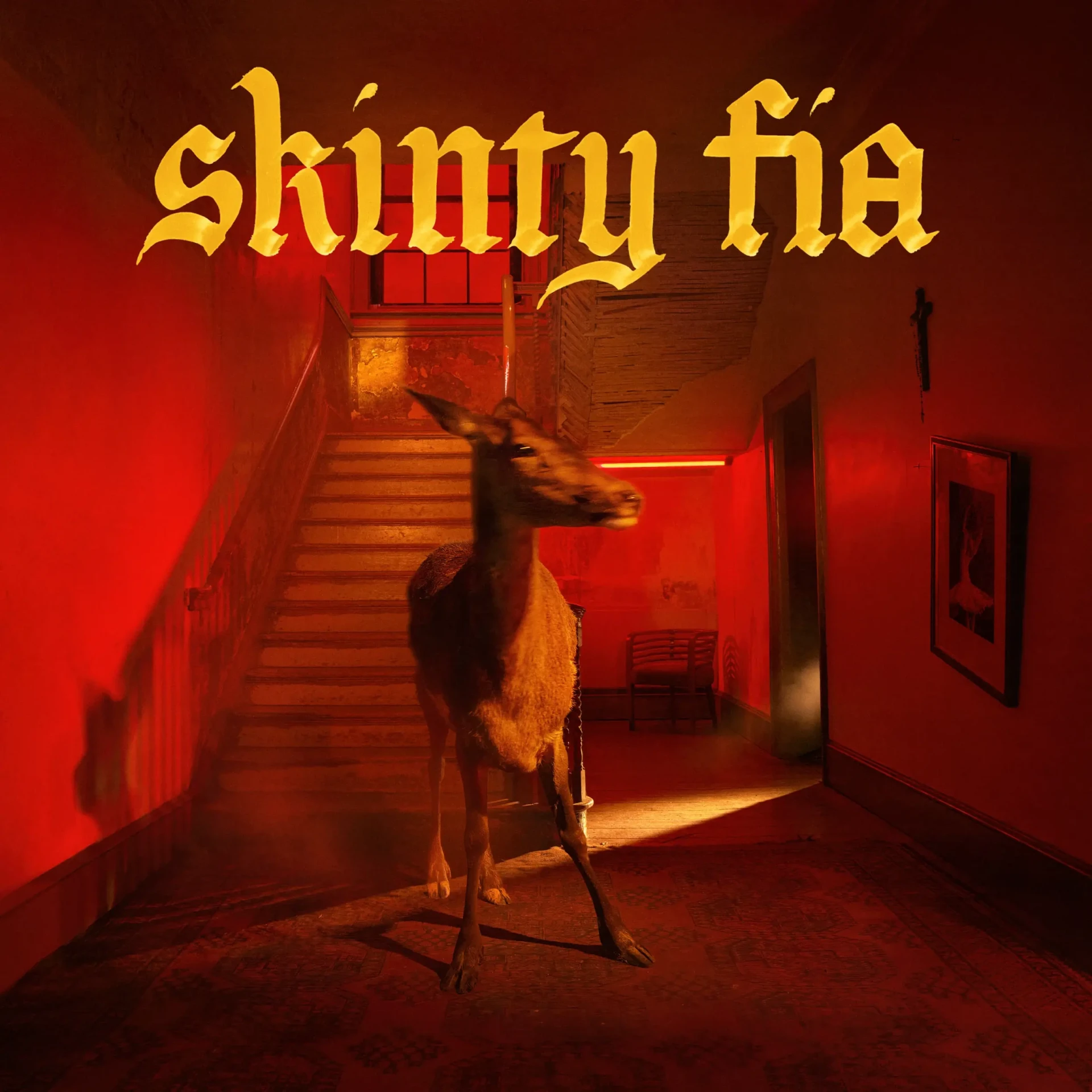 FONTAINES D.C. · Skinty Fia | BLACK LP (Alternative Rock Vinyl) · Bild 1