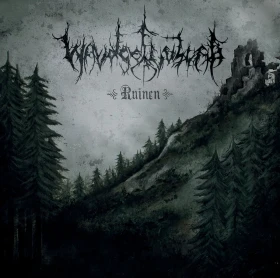 WALDGEFLÜSTER · Ruinen | MULTI-COLORED 2LP (Black Metal Vinyl) · Bild 1