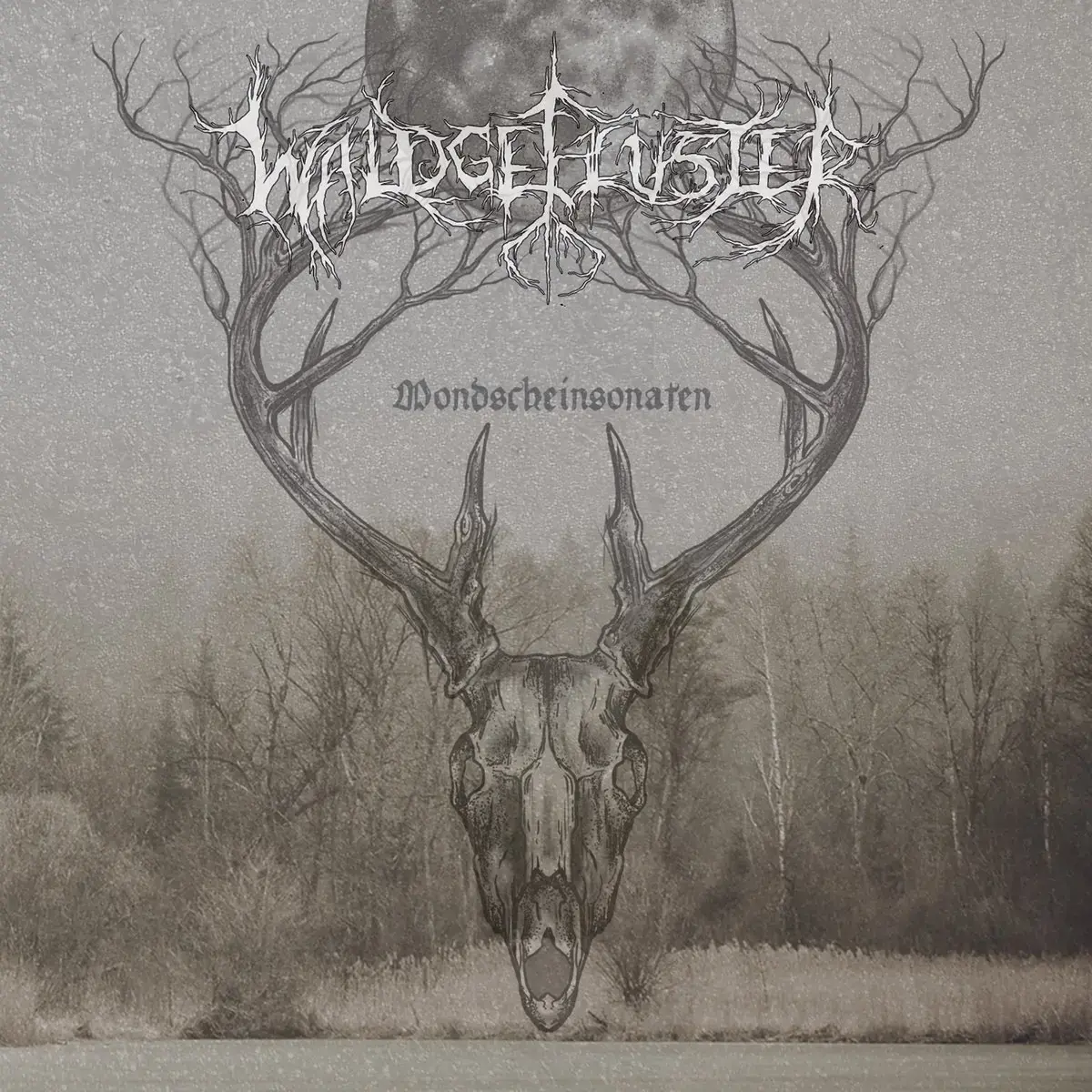 WALDGEFLÜSTER · Mondscheinsonaten | CD (Black Metal/Folk CDs)