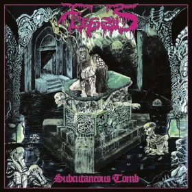FESSUS · Subcutaneous Tomb | BLACK LP (Death Metal Vinyl) · Bild 1