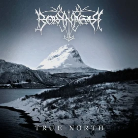 BORKNAGAR · True North | CLEAR/BLACK/WHITE MARBLED 2LP (Progressive Metal/Black Metal Vinyl) · Bild 1