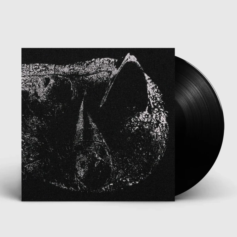 Demon Head · Viscera | Black LP