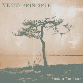 VENUS PRINCIPLE · Stand In Your Light | BLACK 2LP (Dark Rock Vinyl) · Bild 1