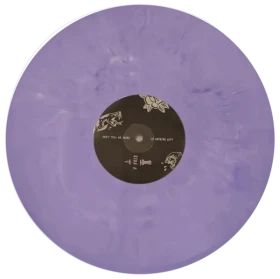 FOUR BLACK LUNGS · Don't Tell Me There Is Nothing Left | LILA SPLATTER VINYL (Punk Rock Vinyl) · Bild 2