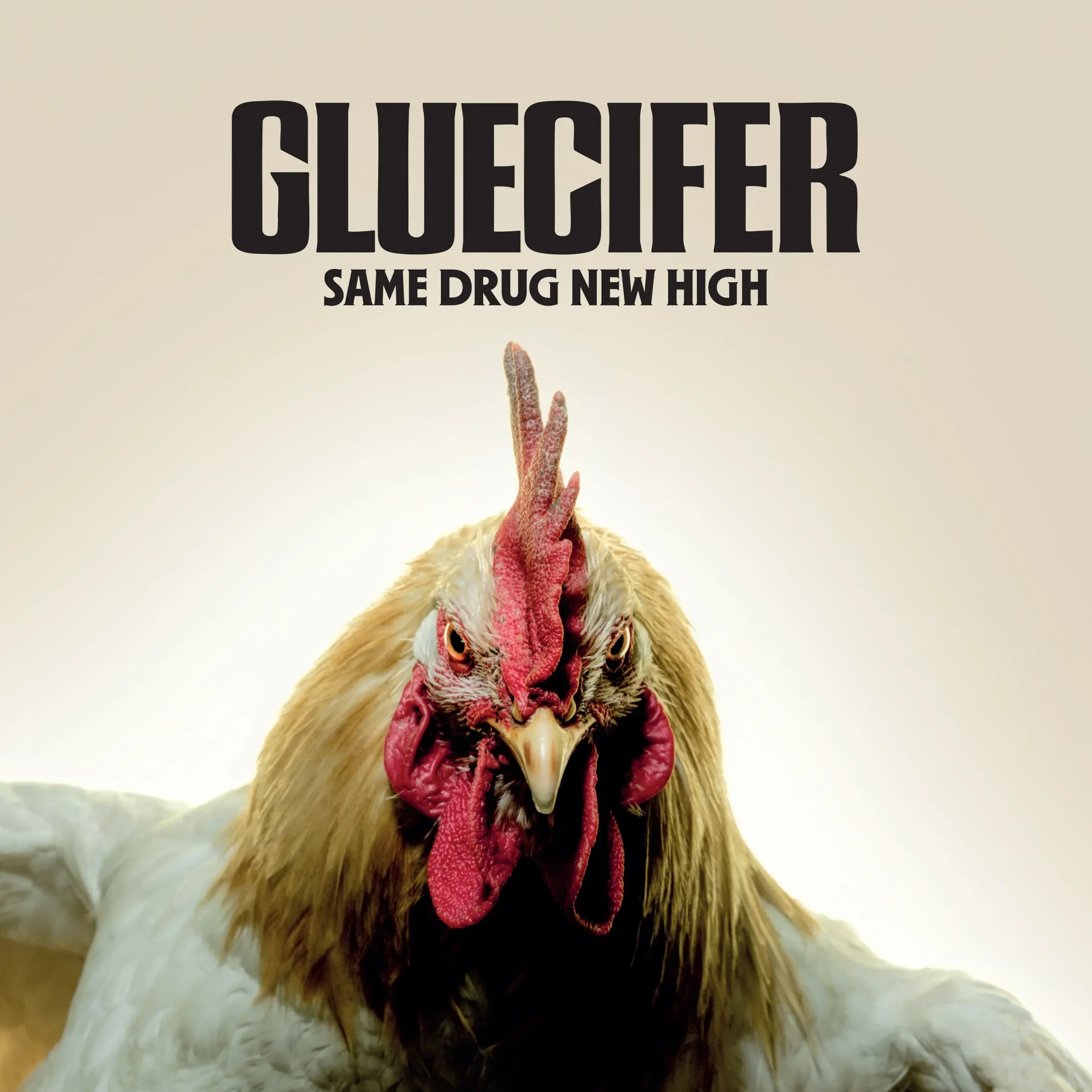GLUECIFER · Same Drug New High | BLACK LP (Hard Rock Vinyl) · Bild 1