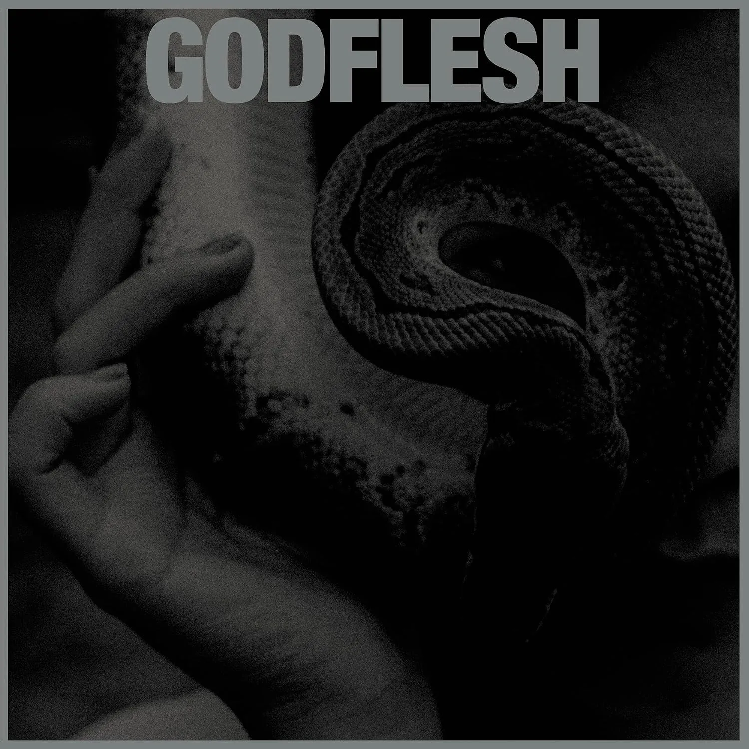 GODFLESH · Purge | BLACK LP (Sludge Metal Vinyl) · Bild 1
