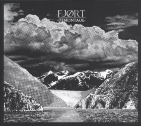 FJORT · Demontage | PRINTED LP (Post Rock Vinyl) · Bild 1