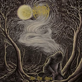 WOODS OF DESOLATION · As the Stars | BLACK LP (Black Metal Vinyl) · Bild 1